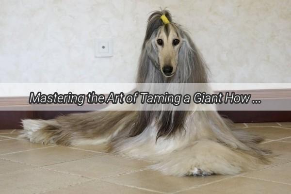 Mastering the Art of Taming a Giant How to Prevent Your Large Dog from Biting the Little Ones